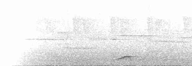  - Whitehead's Trogon