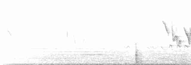 White-throated Kingfisher - ML556046131