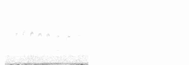 rorýs bělohrdlý - ML556081061