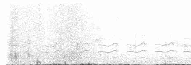 chřástalík kaštanovoprsý - ML556092391