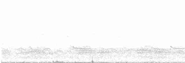Common Redshank - ML556128121
