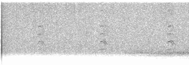 Белохвостая куропатка - ML556190101