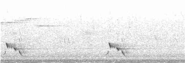 Çizgili Panterkuşu (striatus) - ML55634471
