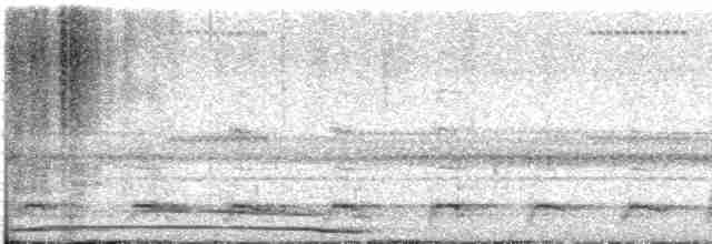Пенелопа світлоголова - ML556351961
