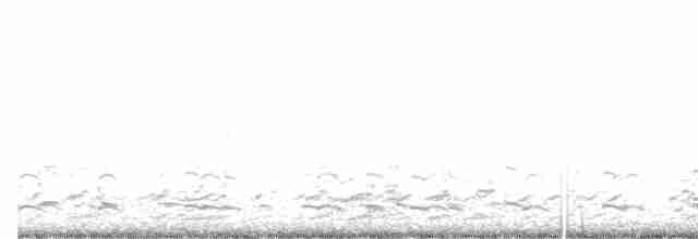 polargås (leucopareia) - ML556462161