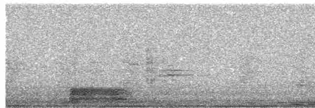 Гологлазая земляная горлица - ML556491651