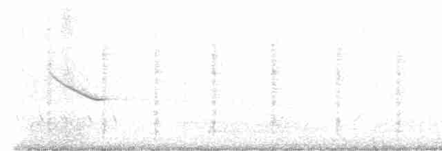 Troglodyte des marais - ML556531061