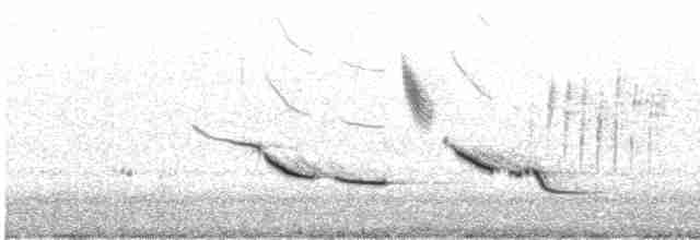 Chihuahuan Meadowlark - ML556538851