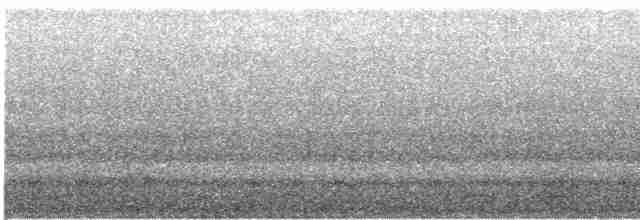 Bécasseau sanderling - ML556547841