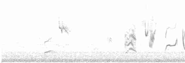 leskot modrošedý [skupina obscura] - ML556557641