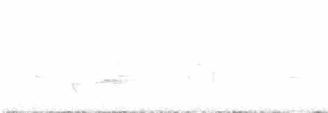 Gray-breasted Wood-Wren (Perija) - ML556678621