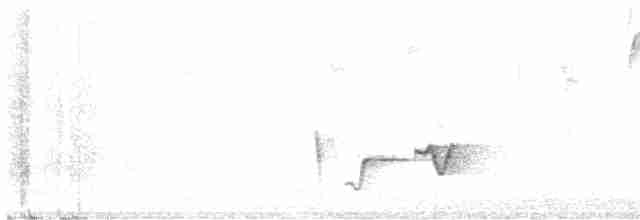 Gray-breasted Wood-Wren (Perija) - ML556683141