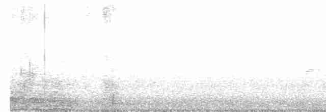 Black-crested Titmouse - ML556712741