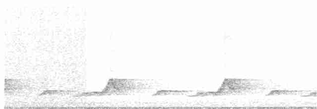 Schwarzkehl-Nachtschwalbe - ML55671981
