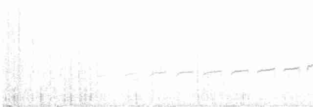 Perija Thistletail - ML556728681