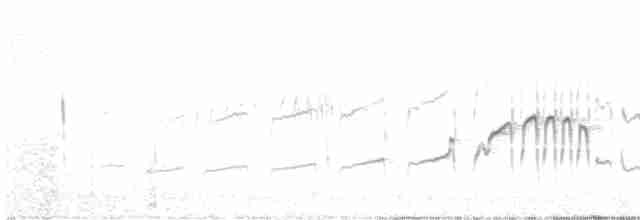 Perija Thistletail - ML556728761