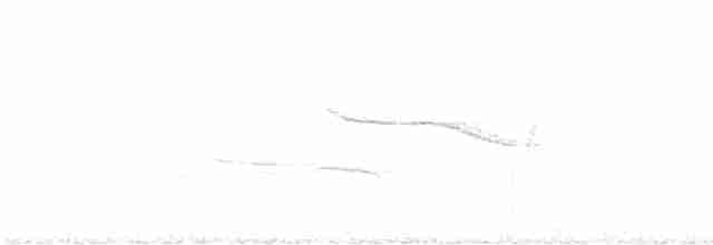 Breitspiegel-Nachtschwalbe - ML556738181