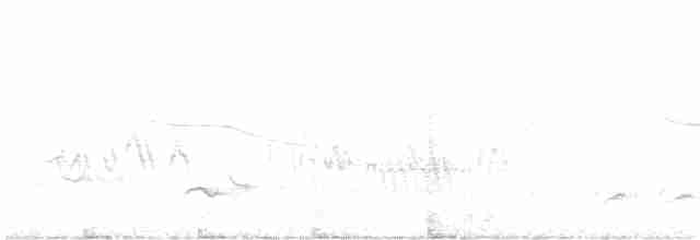 Анаперо-довгокрил рудочеревий - ML556740391