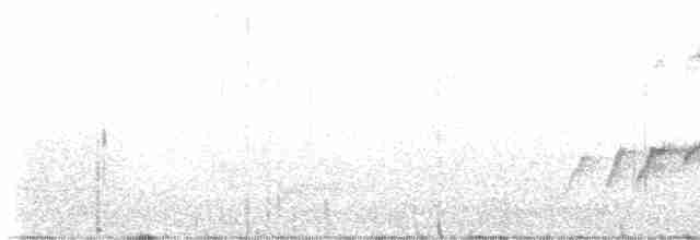 White-eared Sibia - ML556753211