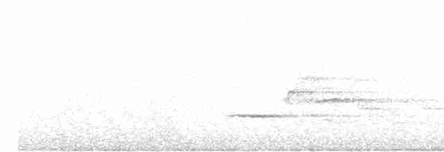 Münzevi Bülbül Ardıcı - ML556808501