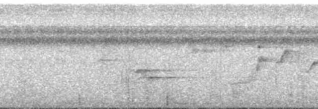 Понпейская миагра - ML55682