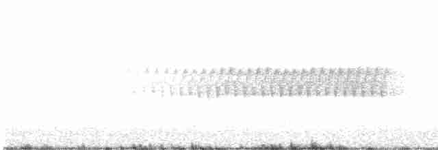 Pine Warbler - ML55690121