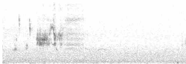 Приморская овсянка-барсучок - ML556985241