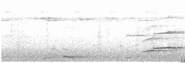 Орел-чубань індійський [група limnaeetus] - ML55698901
