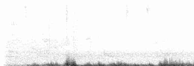 Crested Bobwhite - ML557067001
