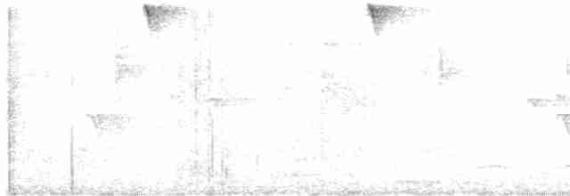 Черноухий колибри - ML557112261