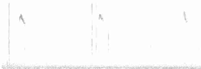 Kadife Karınlı Dağ Kolibrisi - ML557122981
