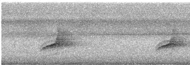 オリーブヒヨドリ（cinnamomeoventris） - ML557131151