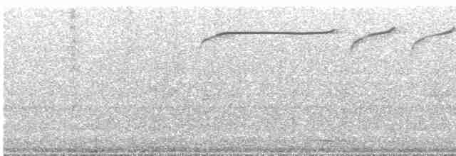 Spotted Quail-thrush - ML557159851