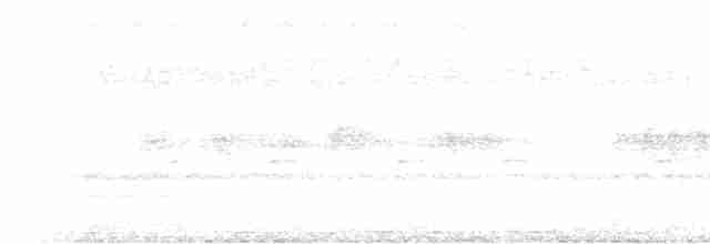 Сова-голконіг далекосхідна - ML557163051