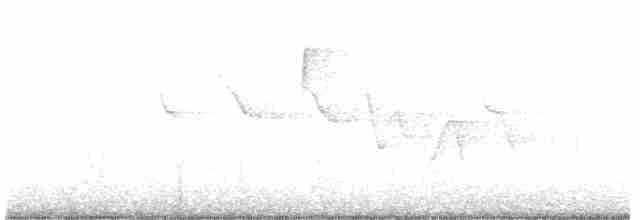 Трясогузковый певун - ML557232691