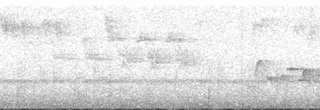 Kestane Başlı Yerçavuşu - ML55726