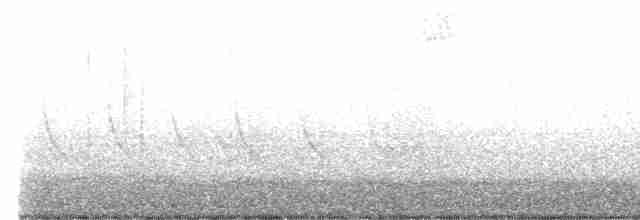 Orange-crowned Warbler - ML557260621