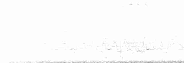 Paruline noir et blanc - ML557271651