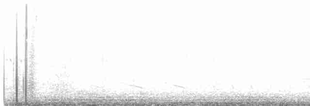lesňáček černobílý - ML557301001