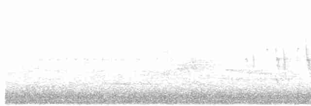 Дроздовый певун - ML557325201