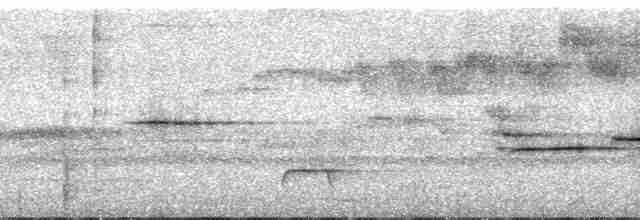 Дрізд-короткодзьоб сірий [група fuscater] - ML55734