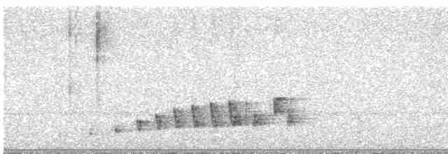Buff-collared Nightjar - ML557363741