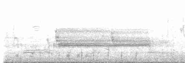 Common Merganser (North American) - ML557384071