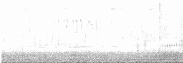 strnadec zpěvný (ssp. melodia/atlantica) - ML557386901
