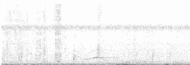 Graumennigvogel - ML557491411