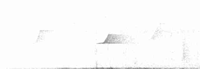 Mangrove Whistler - ML557491631