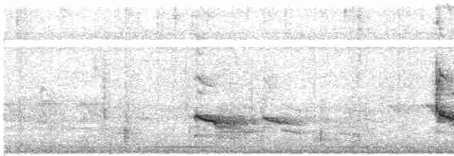 Common Redshank - ML557541061