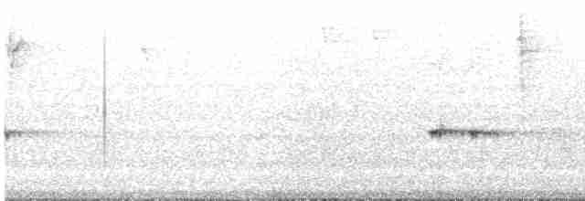 Streifenpanthervogel - ML557551711