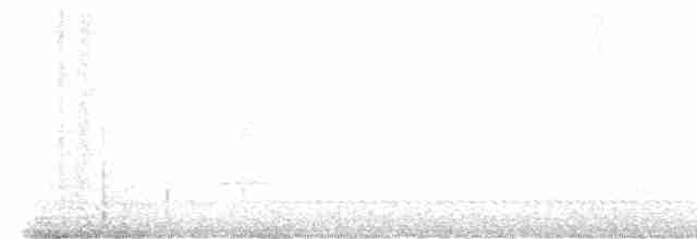 Трясогузковый певун - ML557618541