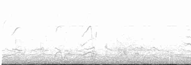 Black-tailed Godwit - ML557650071
